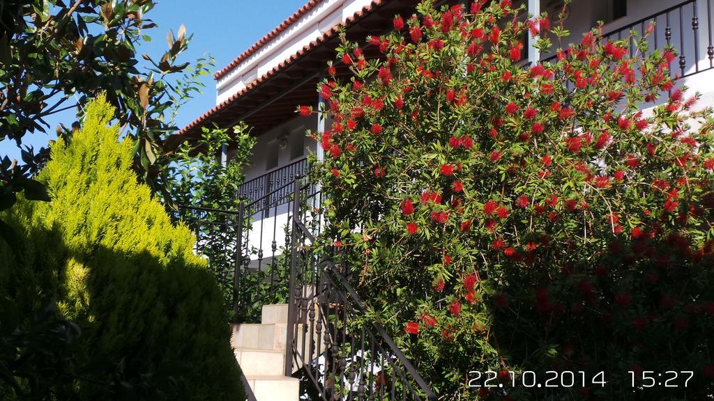 Skiathos Studios Panorama Exterior photo